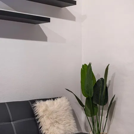 Apartment Cozy & Next To The Basilica *